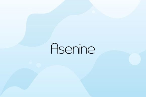 Asenine: A Warm Sans Serif Typeface for Editors
