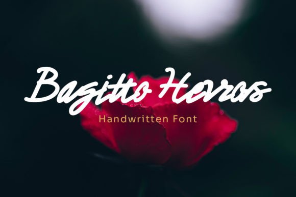 Bagitto Herros Font for Modern Branding