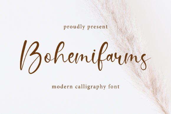 Bohemifarms Font: A Review for Brand Builders