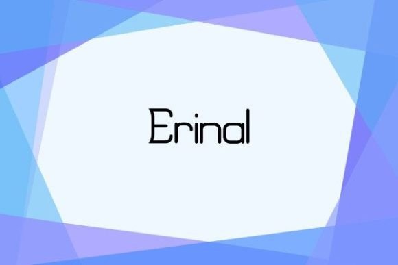 Erinal Typeface: A Warm Sans Serif for Branding