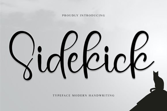 Sidekick: A Dainty Script Font for Web Design