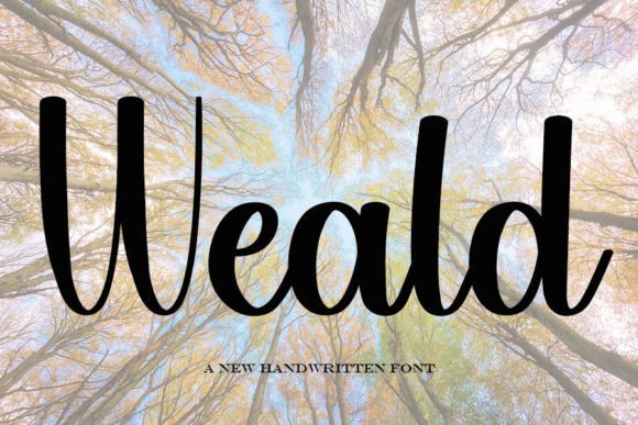 Weald: A Handwritten Font for Digital Design