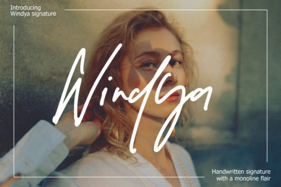 Windya Font Review: Elevating Web Design with Elegance