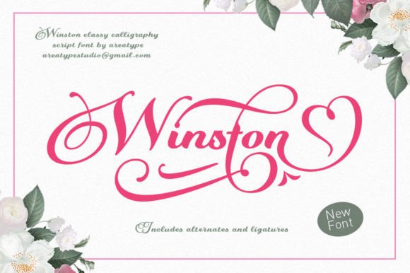Winston: A Classy Script Typeface for Branding